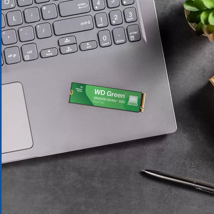 WD Green SSD on a laptop with a pen and plant in the background